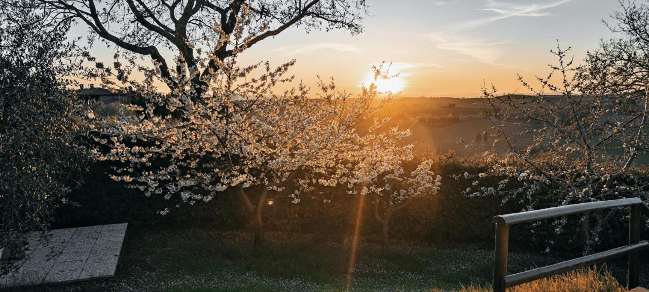 Agriturismo I Roseti Montepulciano Stazione Eksteriør billede