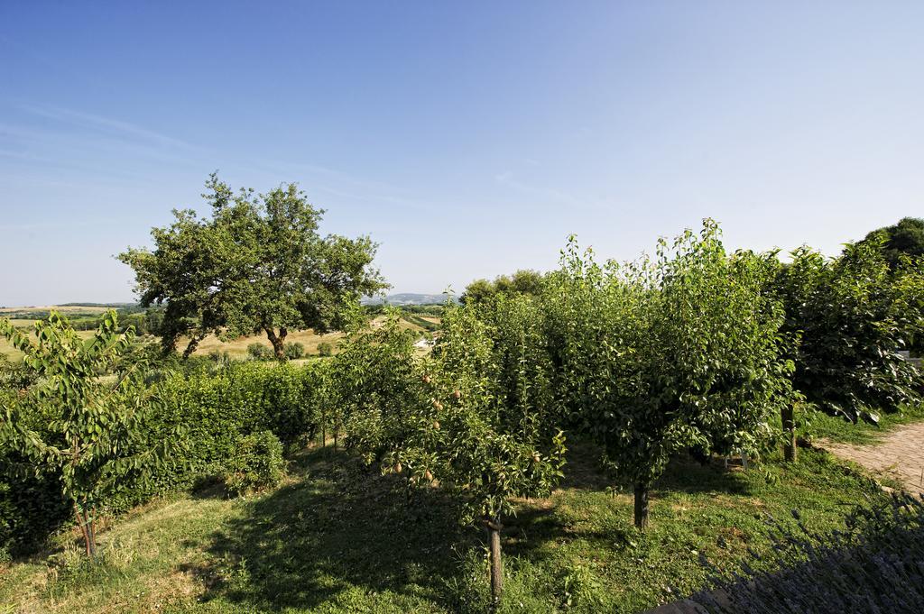 Agriturismo I Roseti Montepulciano Stazione Værelse billede