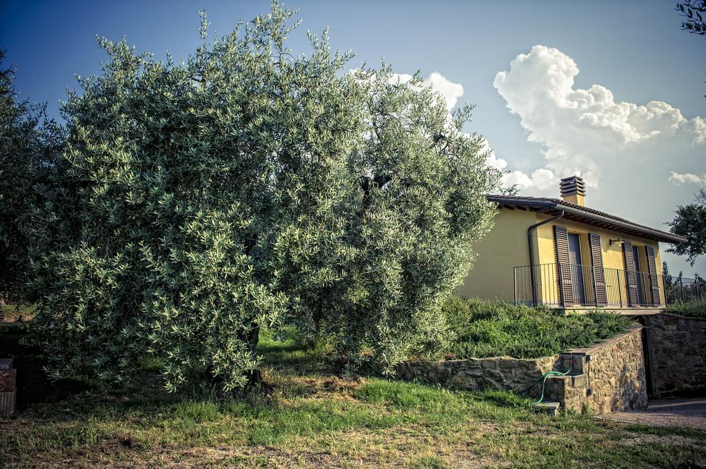Agriturismo I Roseti Montepulciano Stazione Eksteriør billede
