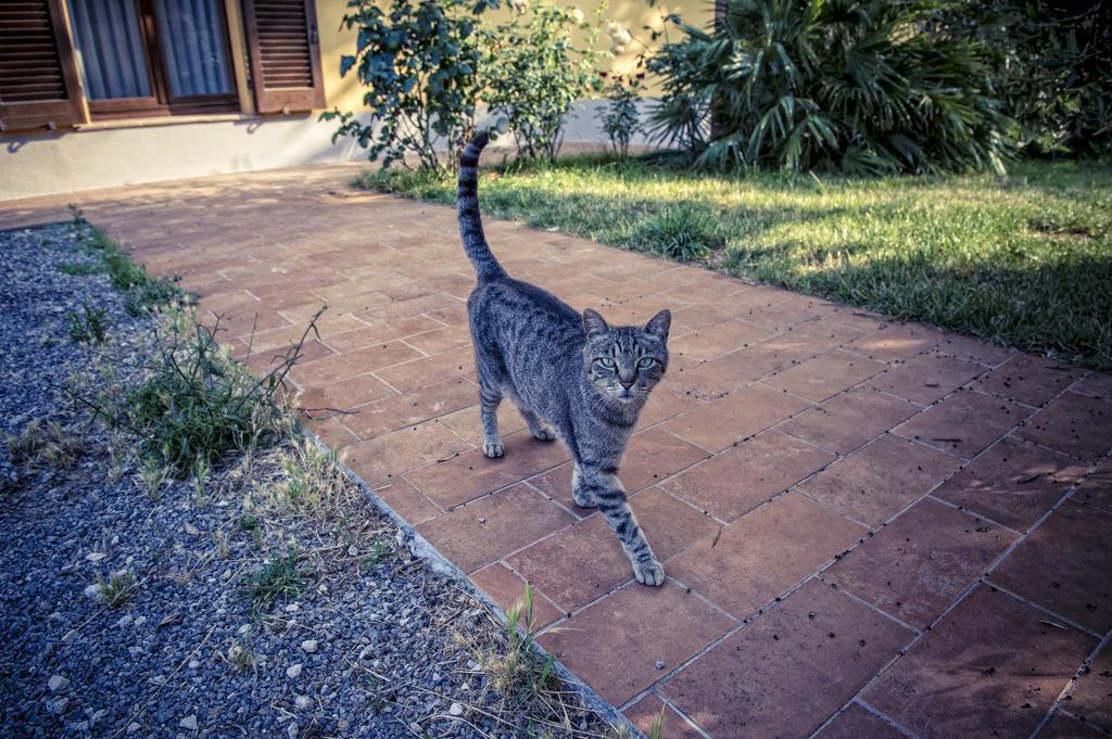 Agriturismo I Roseti Montepulciano Stazione Eksteriør billede