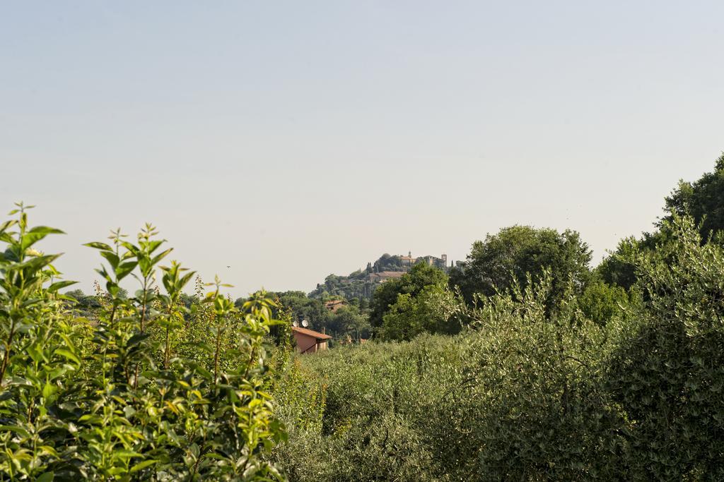 Agriturismo I Roseti Montepulciano Stazione Værelse billede